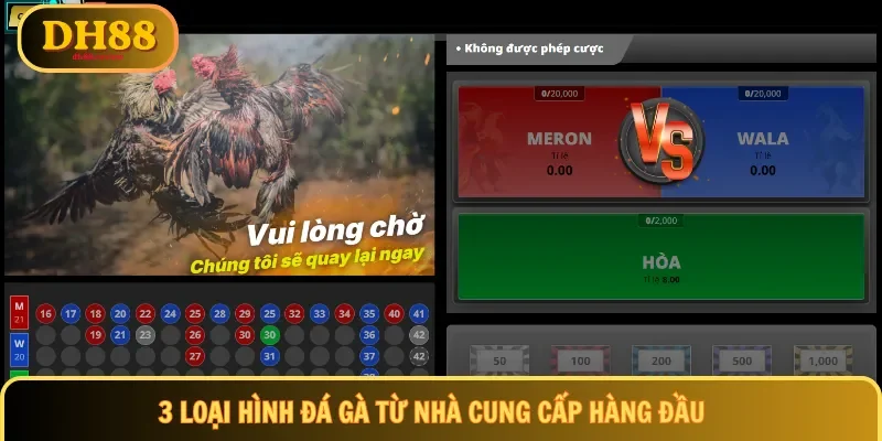3 loại hình đá gà từ nhà cung cấp hàng đầu