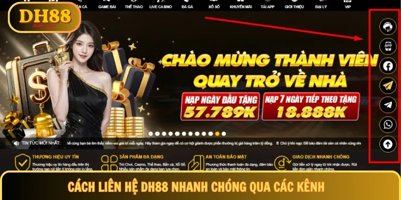 Cách liên hệ DH88 nhanh chóng qua các kênh